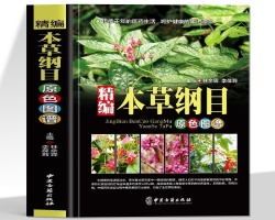 中藥材大全